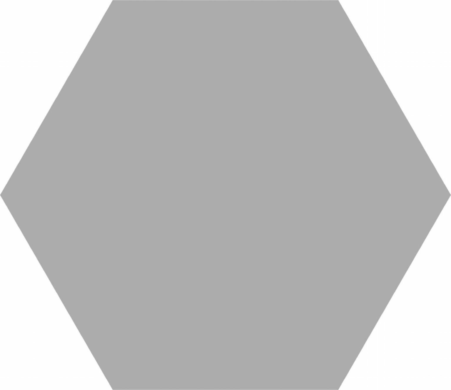 Basic Silver Hex 25 | Codicer DE