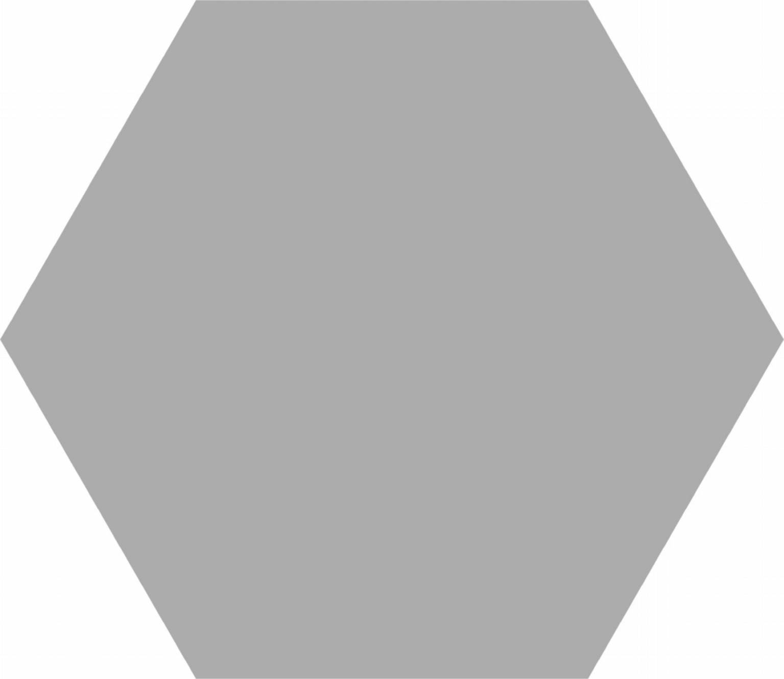 Basic Silver Hex 25 | Codicer DE