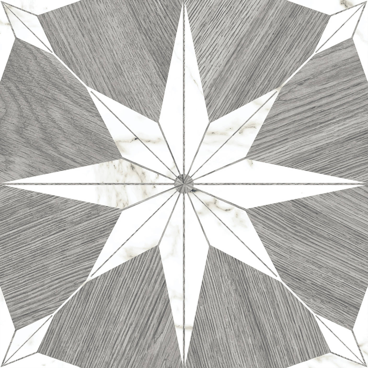 Stella Maine Silver | Codicer