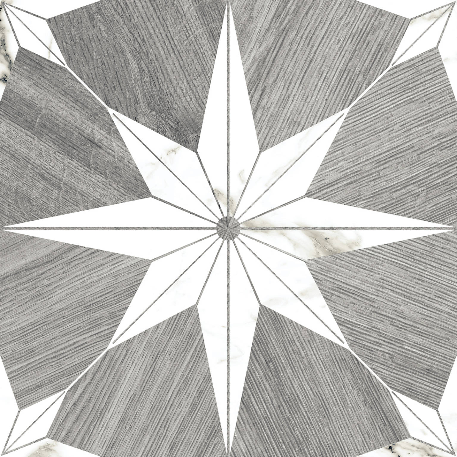 Stella Maine Silver | Codicer