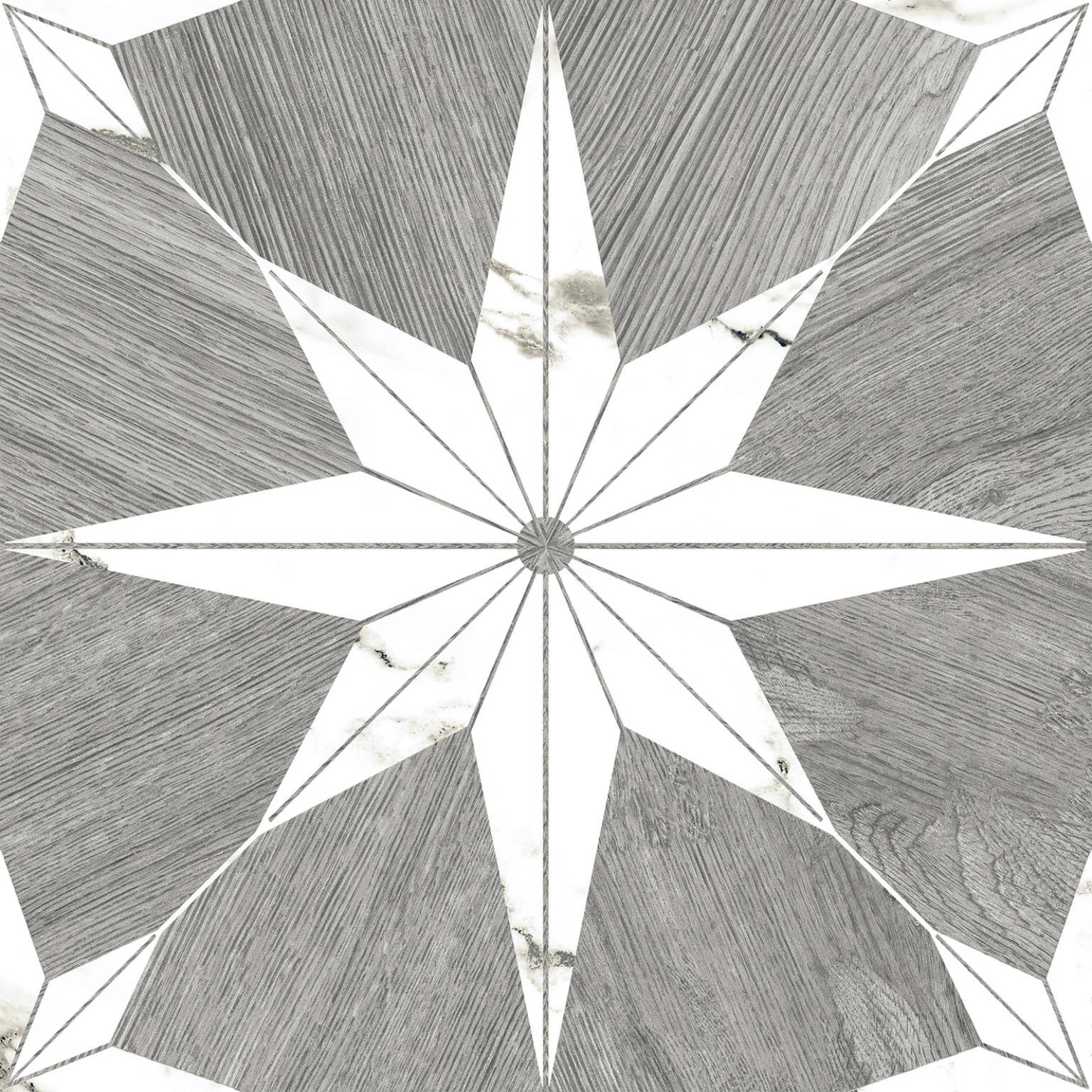 Stella Maine Silver | Codicer