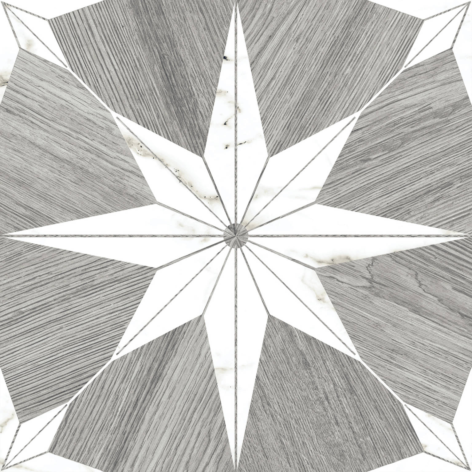 Stella Maine Silver | Codicer