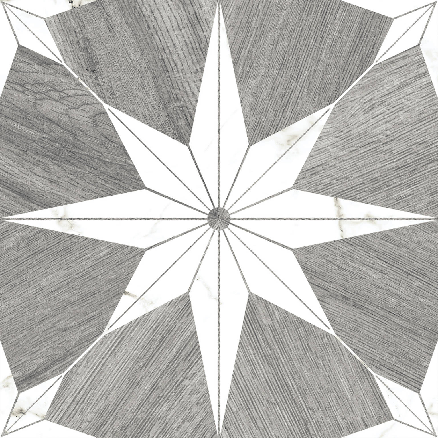 Stella Maine Silver | Codicer