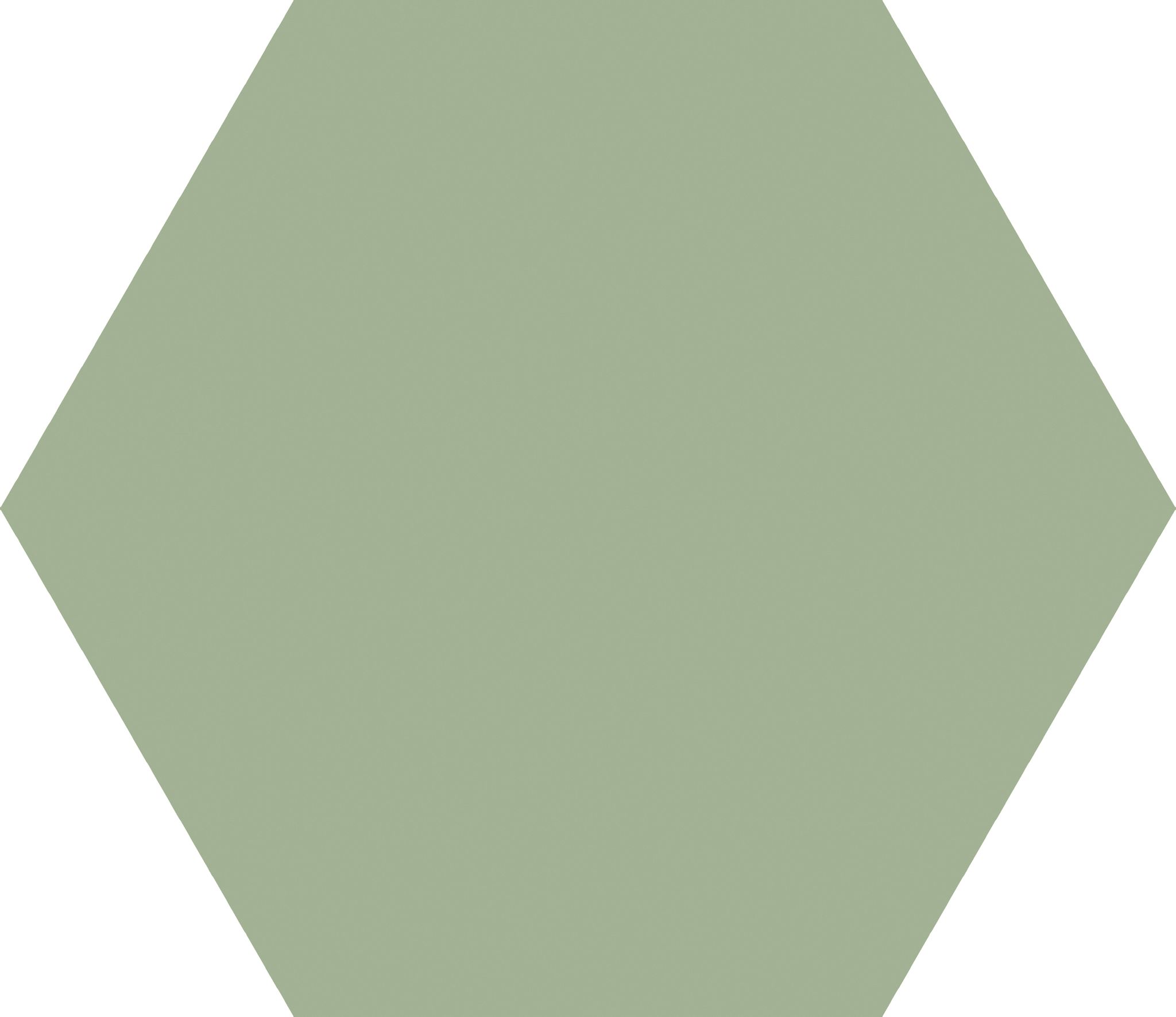 Basic Olive Hex25 | Codicer
