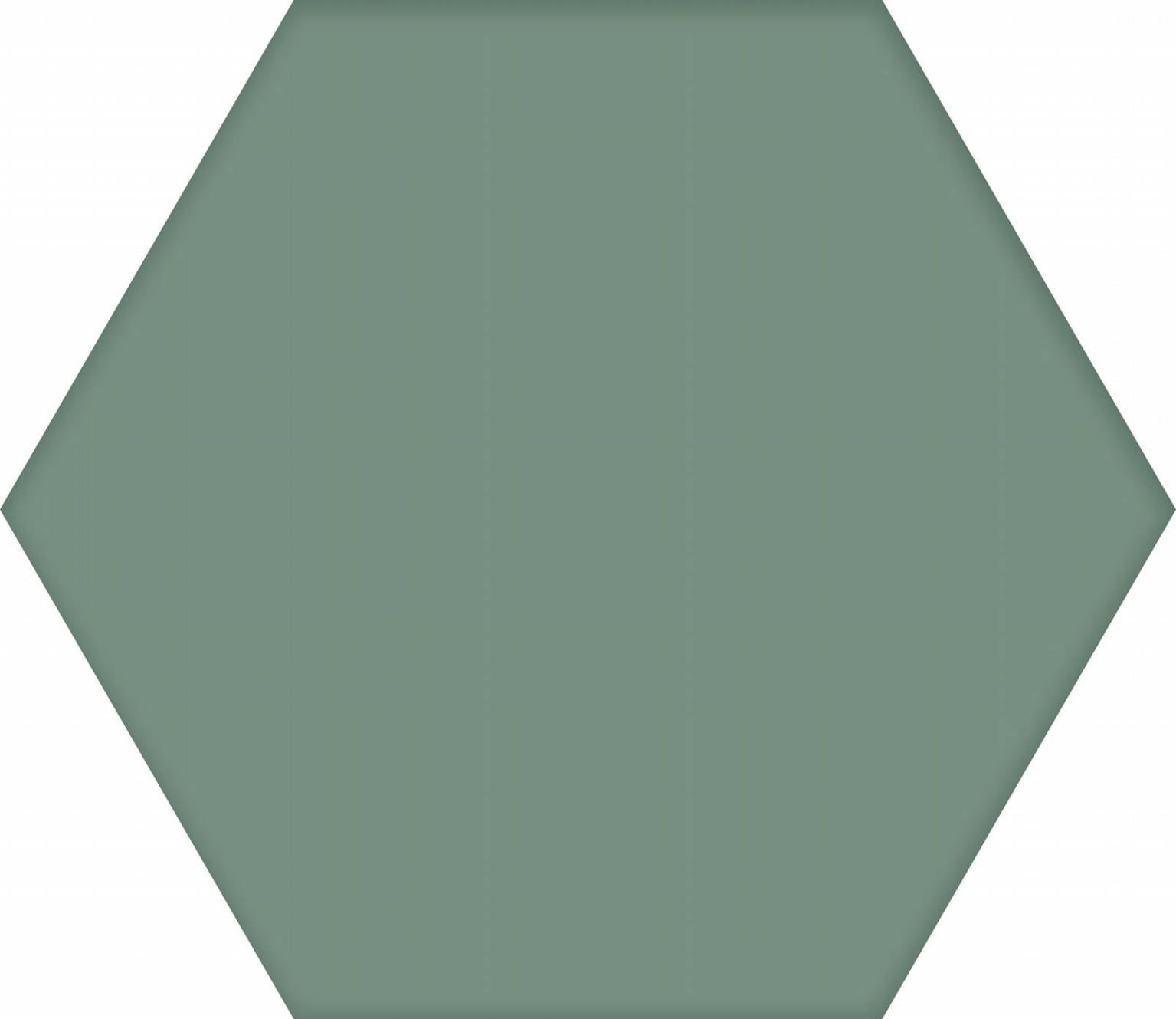 Basic Kale Hex 25 | Codicer