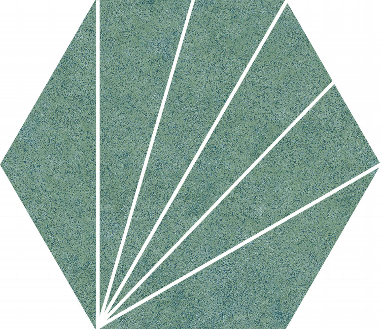 Hex 25 Aster Green | Codicer